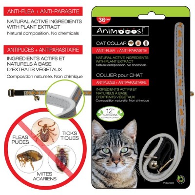 Collier pour chat antiparasitaire